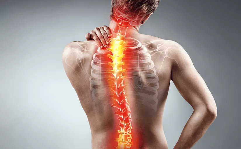 La colonne vertébrale immature : croissance et scoliose idiopathique